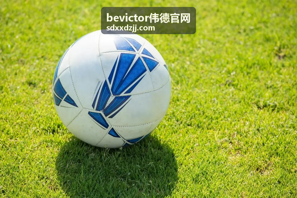 bevictor伟德官网数据仪表盘背景