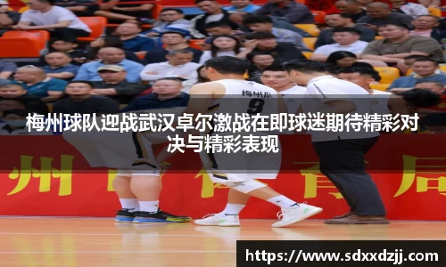 yy易游体育